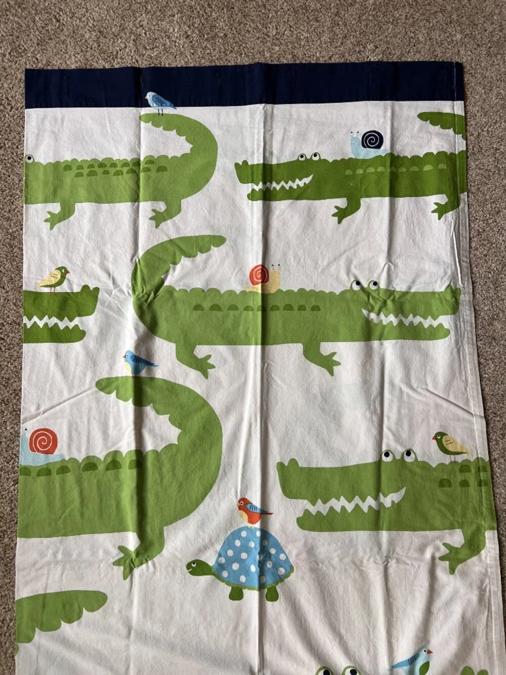 Pottery Barn Kids Alligator Shower Curtain and Bath Mat